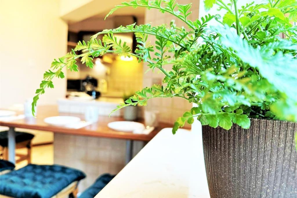 Exclusive Penthouse Near Citycenter 120M2 +Netflix Krasków Εξωτερικό φωτογραφία